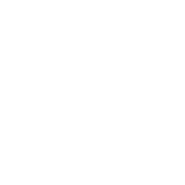 Audio / Visual Services