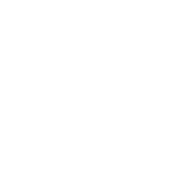 Web Design and management