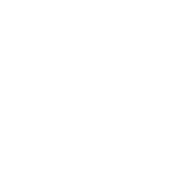 Professional Business Services