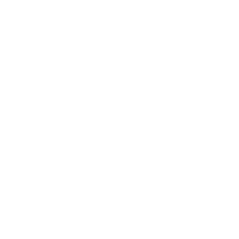 Digital Marketing Services, Content Management