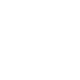 Visual Design / Graphic Arts