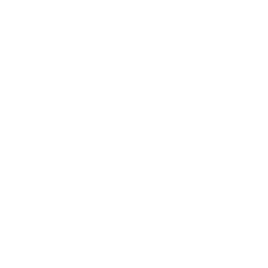 Health, Wellness, Fitness and Physical Therapy