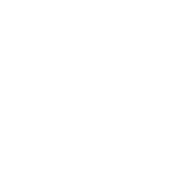 Transport and Automotive Services