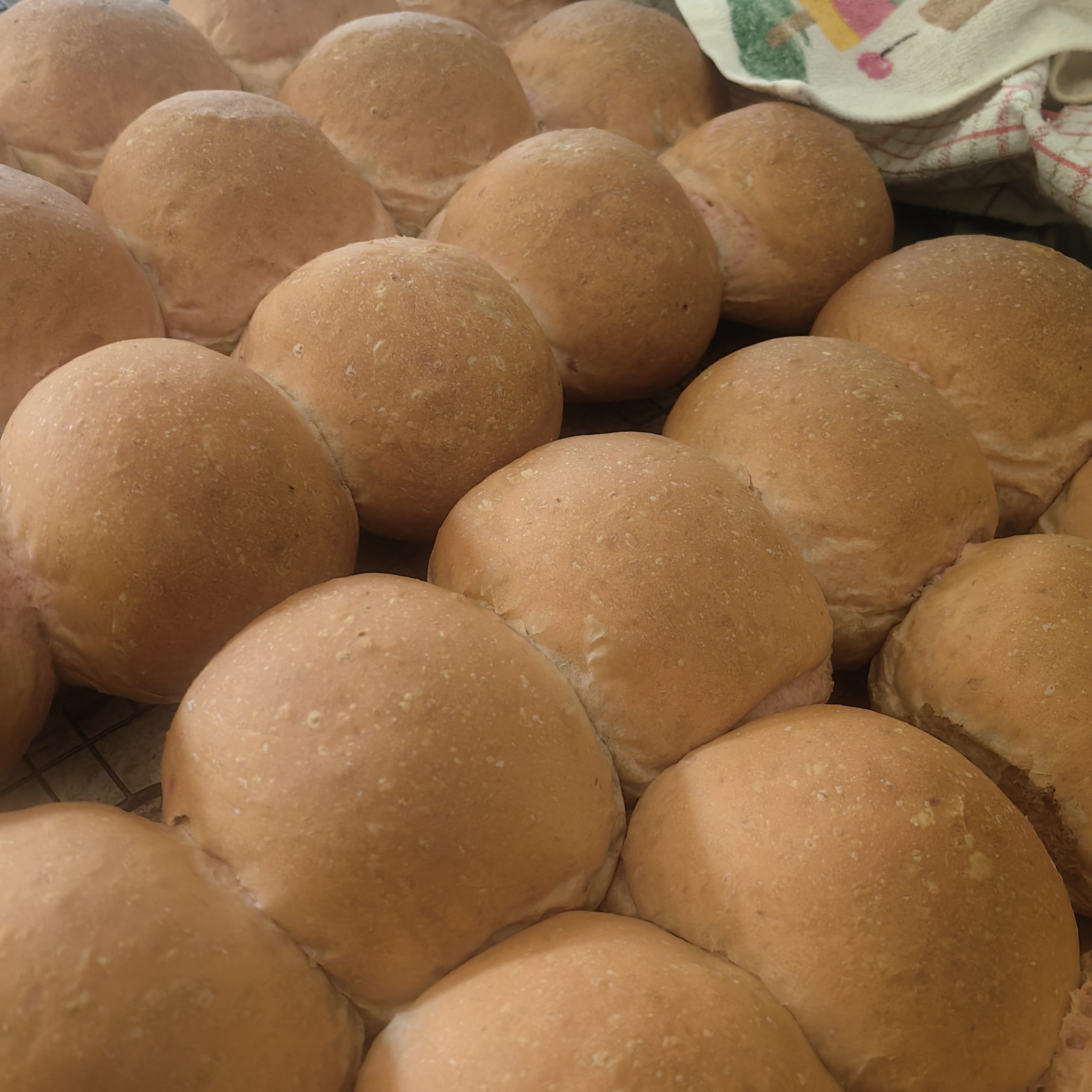 zackies healthy crafted breads