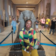 CBM Travel Experience